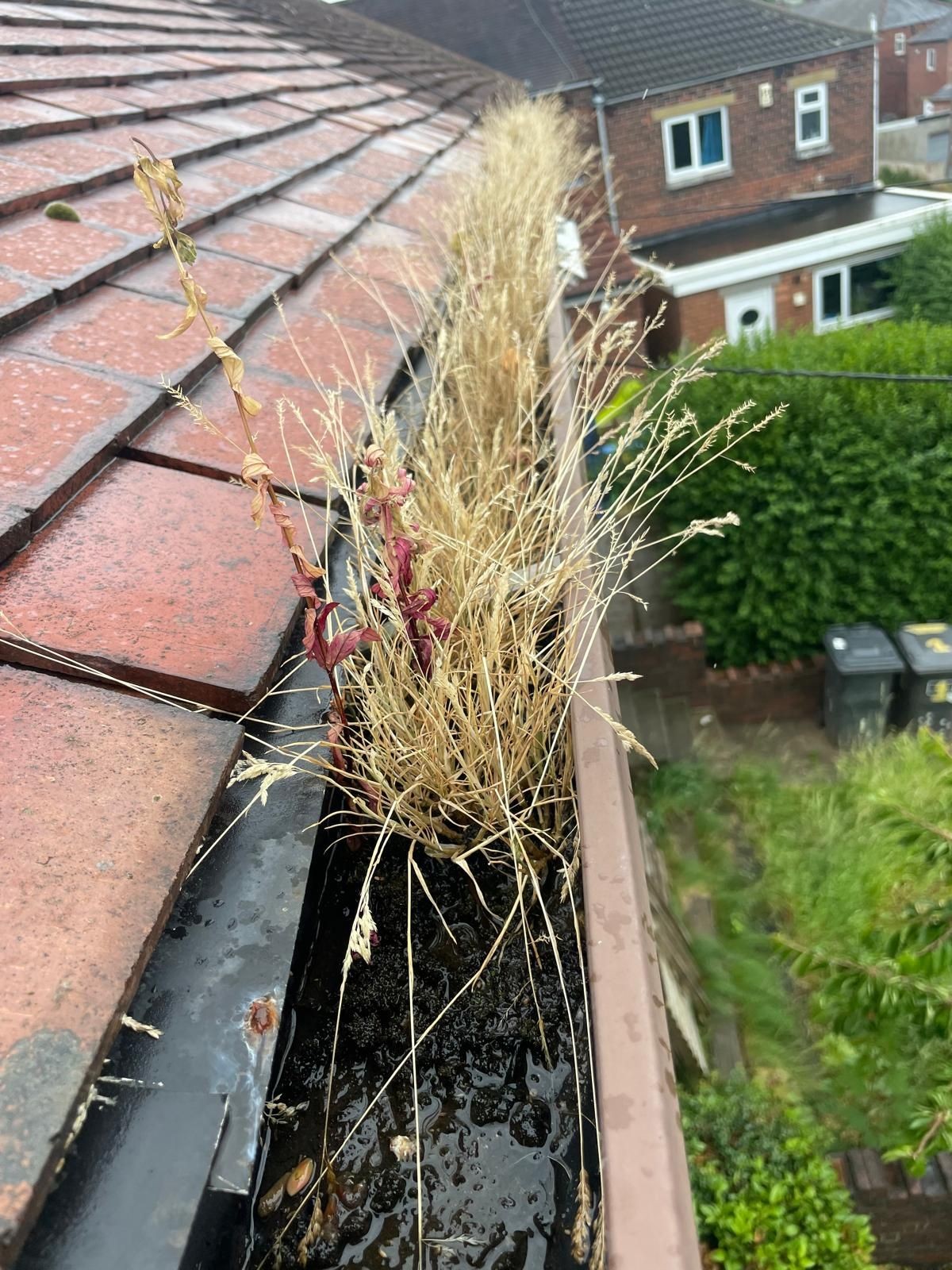 Gutter Cleaning