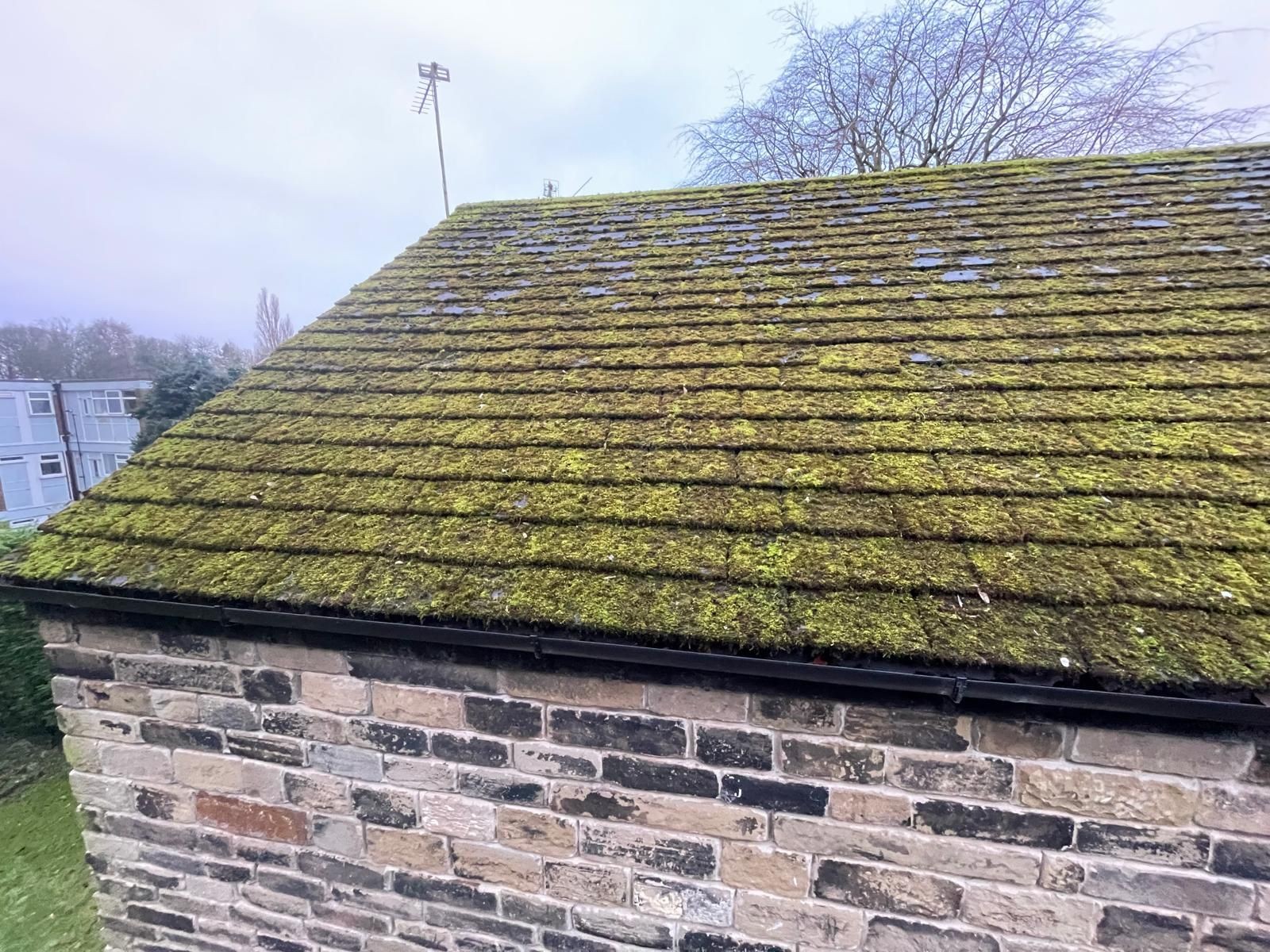 Roof Cleaning